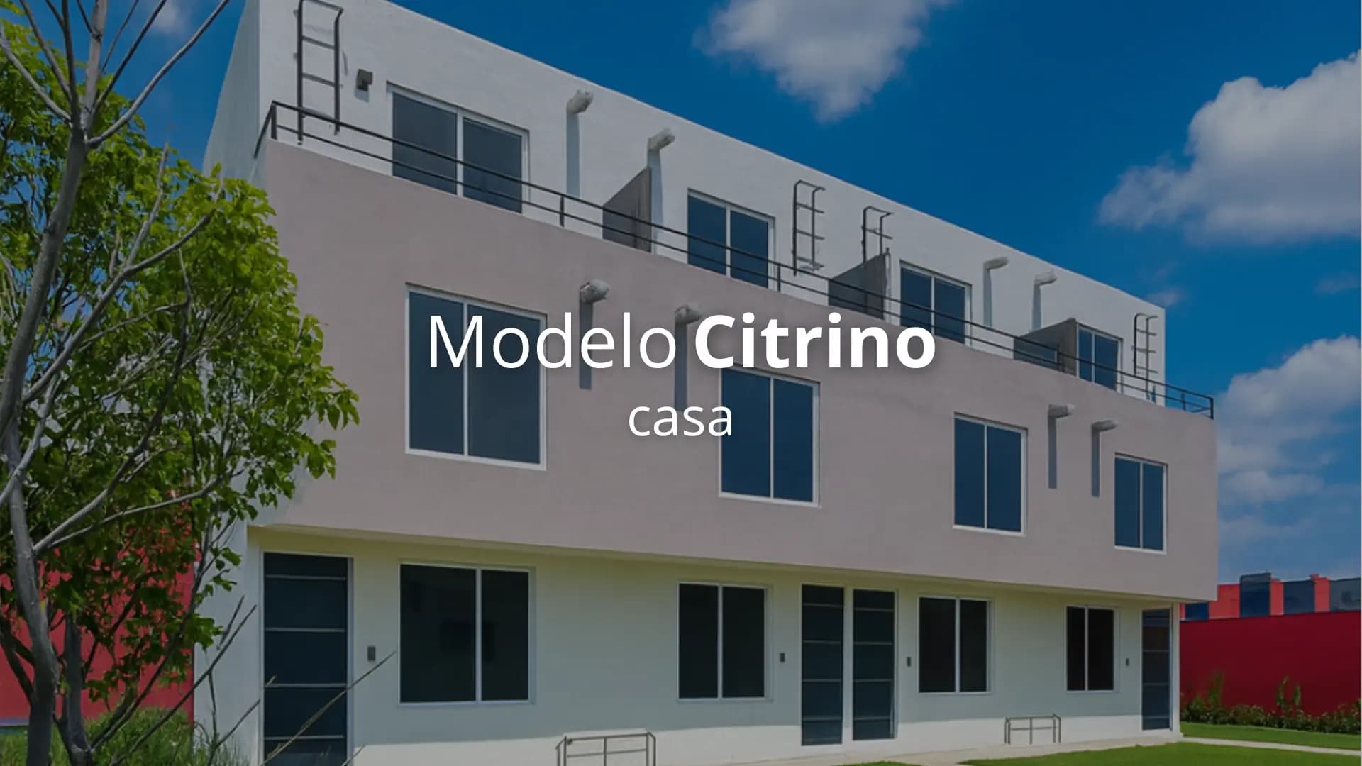 Modelo Citrino